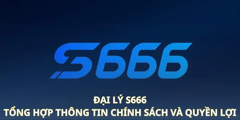 Đại lý S666 - Tổng hợp thông tin chính sách và quyền lợi